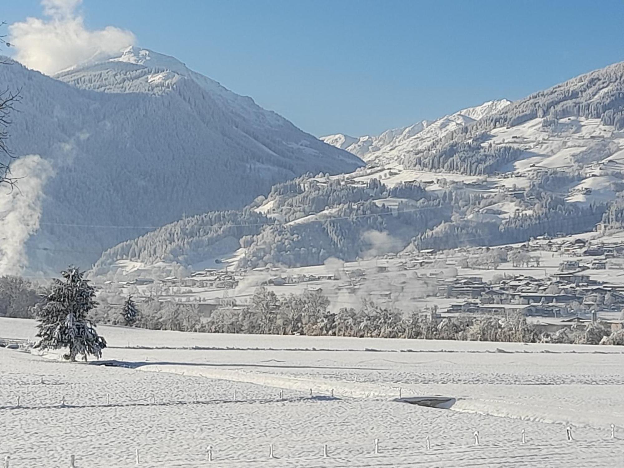 Ferienwohnung Rose Hart im Zillertal Esterno foto